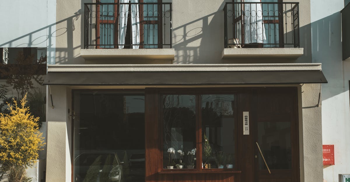 Planter et entretenir des agrumes en pots sur un balcon