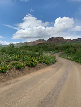 A scenic rural road winds through a lush green landscape under a blue sky with clouds.