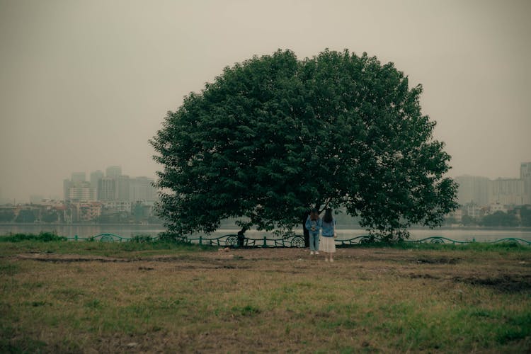 Girls At The Big Tree