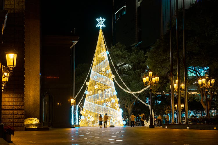 People Looking At The Big Christmas Tree