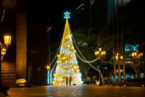 Free Stunning large Christmas tree illuminated with lights in an urban park at night, enchanting festive atmosphere. Stock Photo