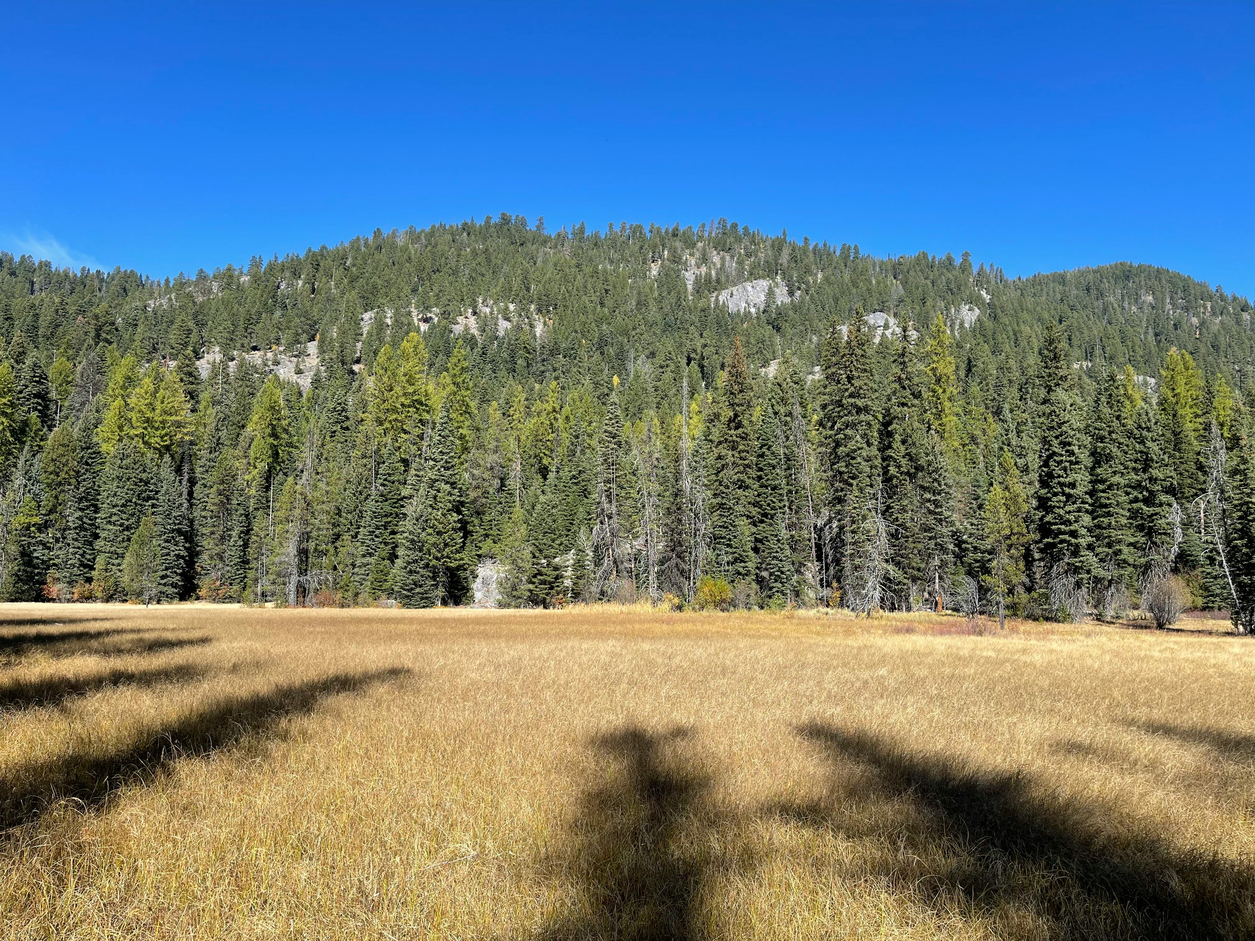 state preemption Idaho short-term rental rules: Comp… state preemption Idaho short-term rental rules: Comp…