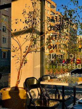 A sunlit outdoor café setup with chairs, tables, and potted plants against a glass wall.