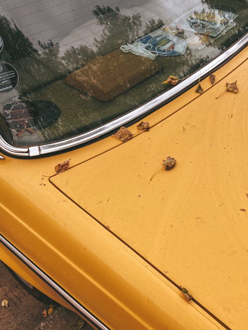Základová fotografie zdarma na téma automobil, fotka z vysokého úhlu, spadané listí