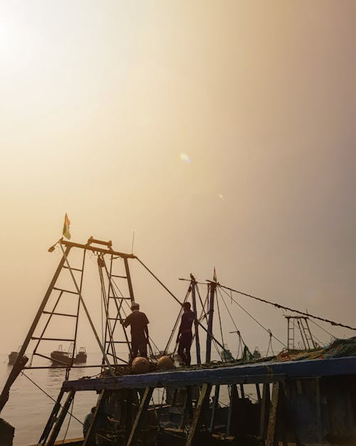 Free stock photo of fishing