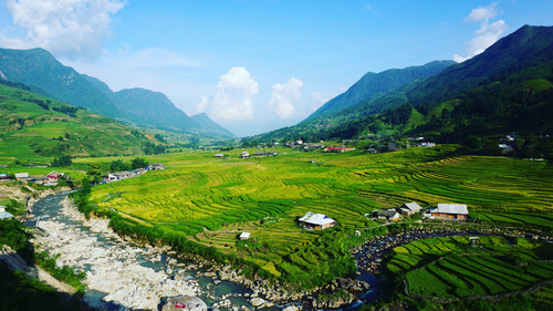 Free Vibrant rice terraces in Đắk Ya, Gia Lai, Vietnam, showcasing lush landscapes. Stock Photo