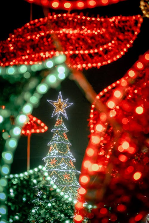 Gratis stockfoto met kerstboom, kerstdecoratie, kerstlampen
