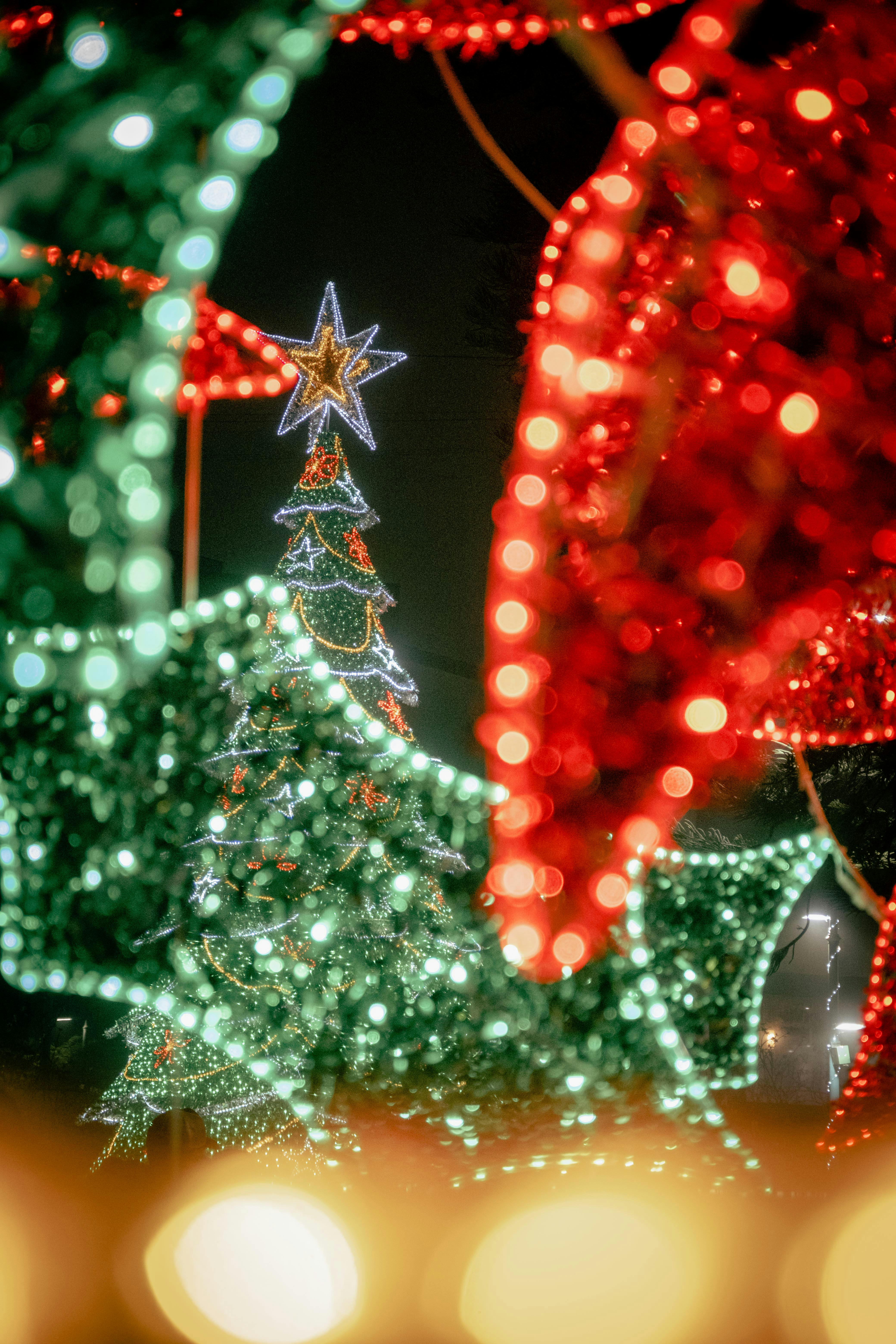 Green Christmas Tree with Christmas Lights · Free Stock Photo, image size:4160x6240