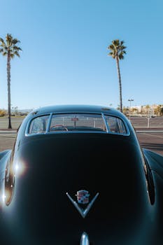 A classic vehicle parked under a clear sky flanked by tall palm trees.