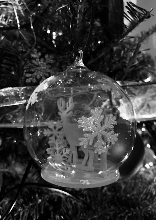 Free stock photo of black and white, black and white christmas, christmas bauble