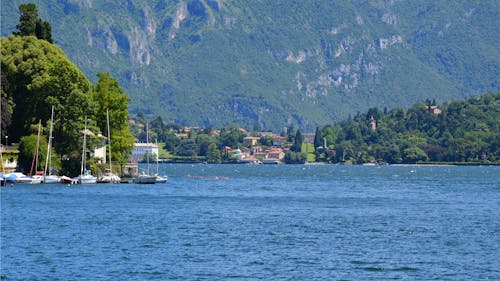 Lake near Village