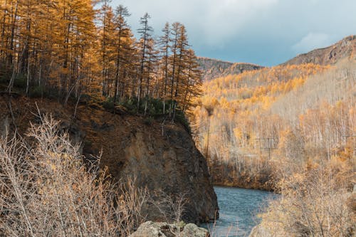 River Between Brown Mountains