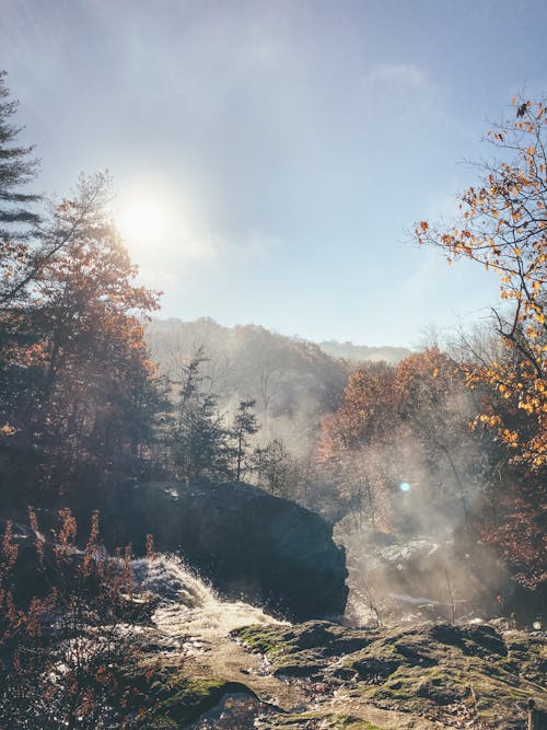 Rapids of Water on the Stream of a Forest