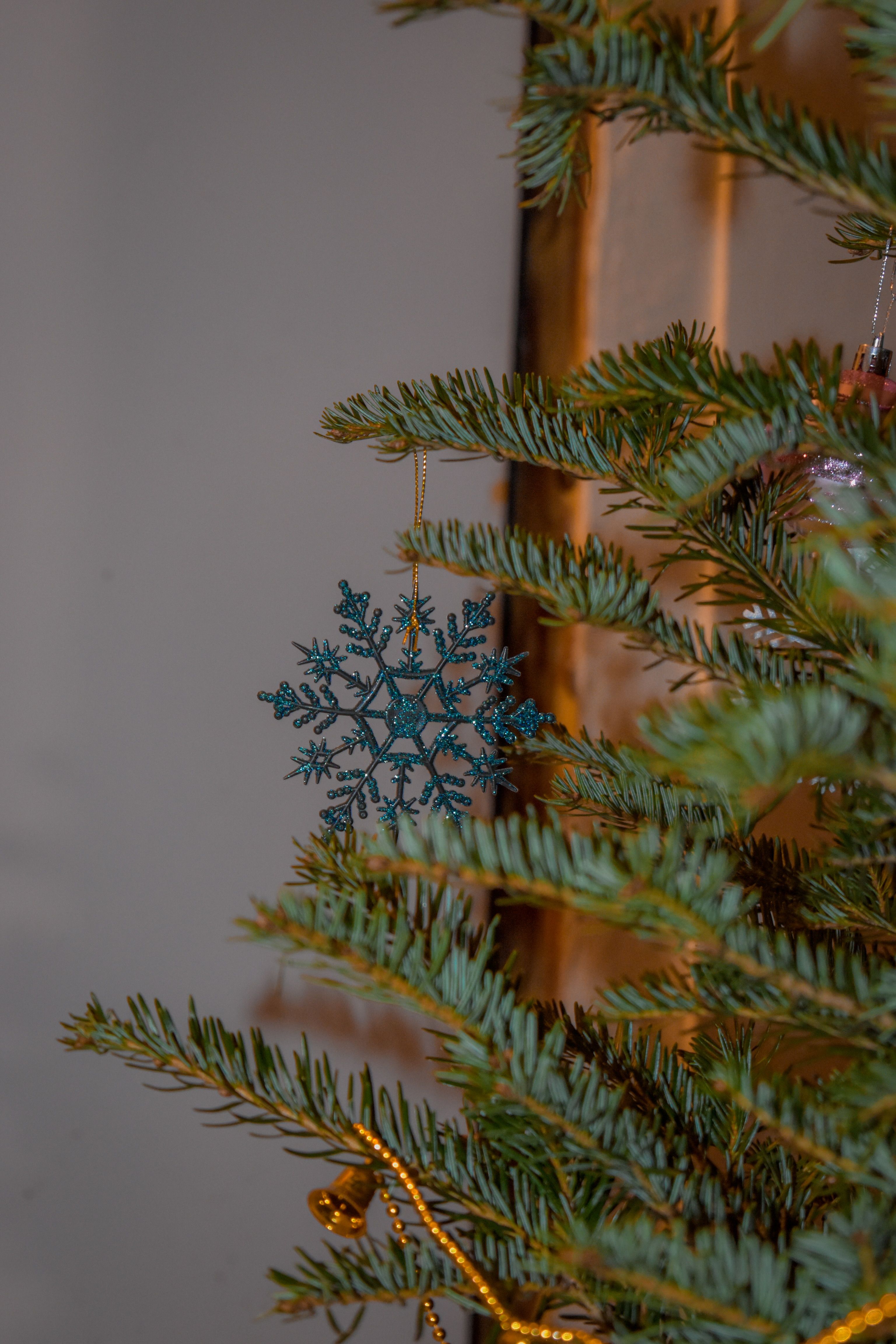 Close-Up Photo of Blue Christmas Ornament · Free Stock Photo