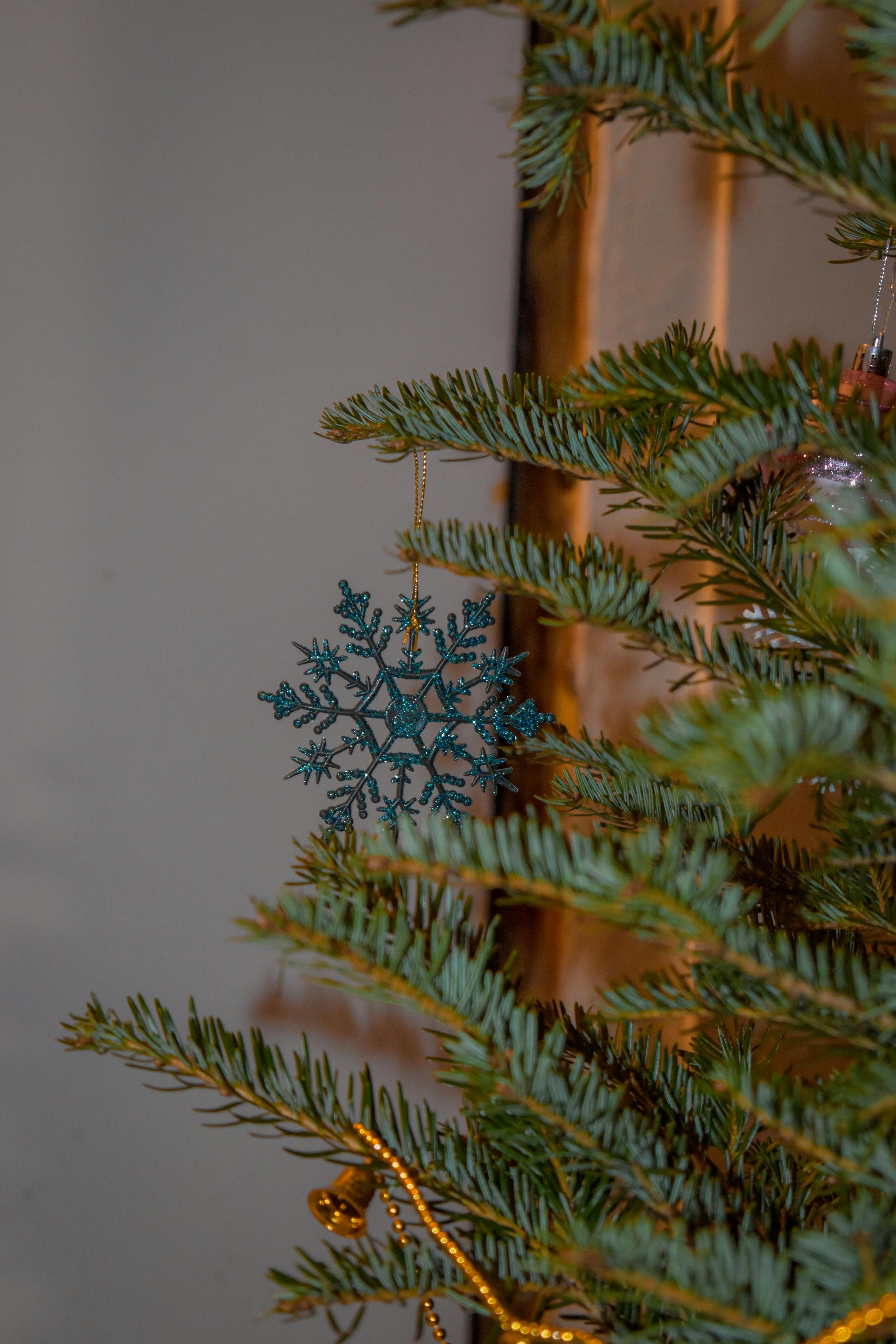 A Close-Up Shot of Hanging Christmas Tree Ornaments · Free Stock Photo
