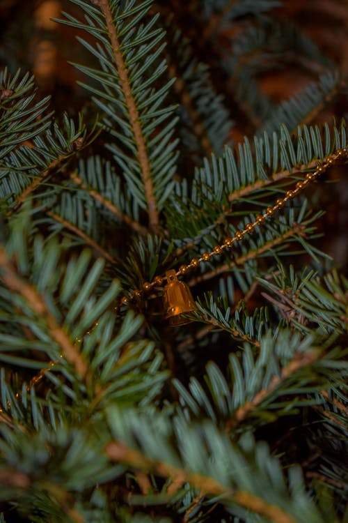 Close-up of a Tiny Christmas Ornament on a Christmas Tree