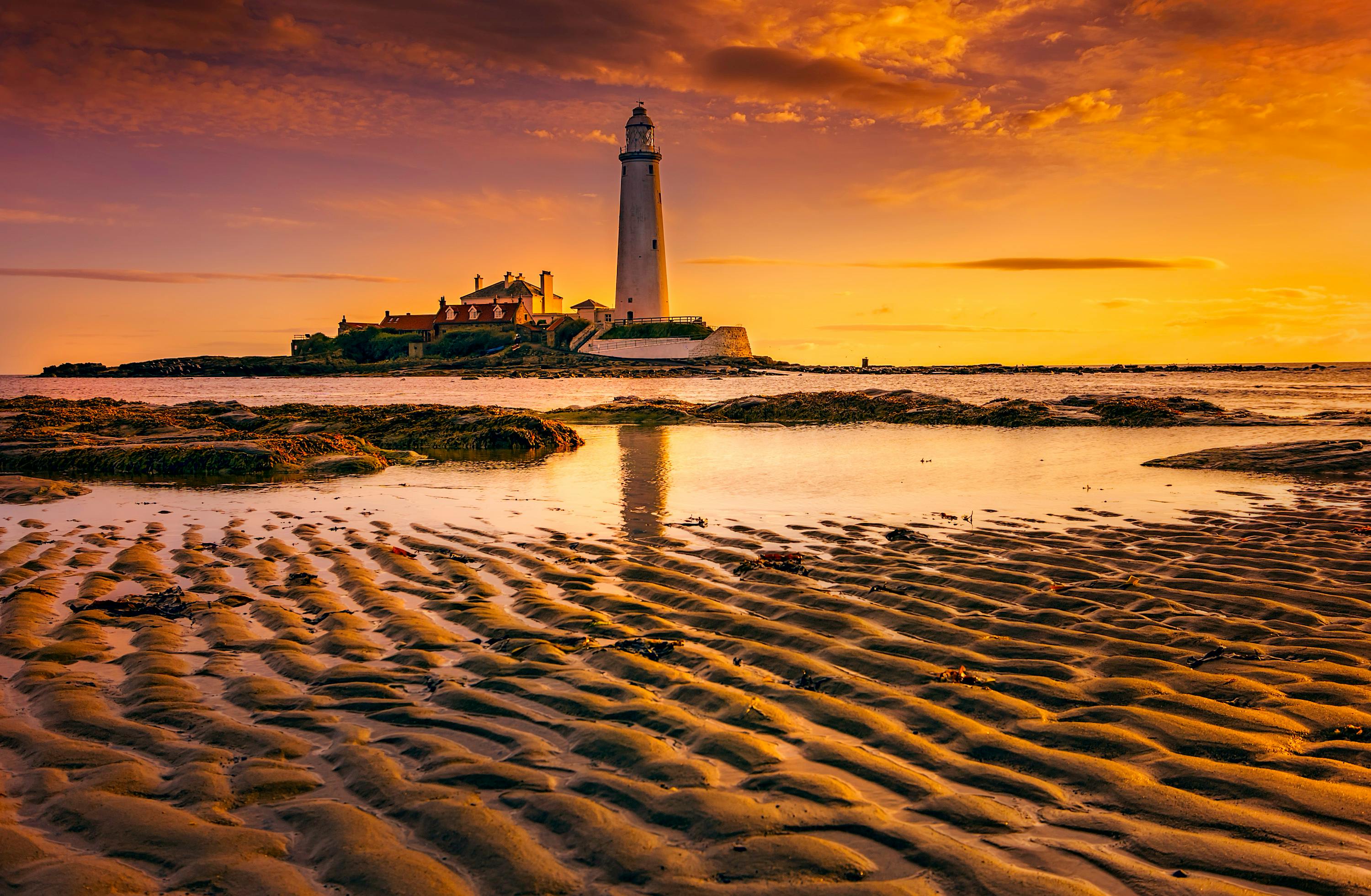 Free stock photo of lighthouse, seascape, st. marys light house