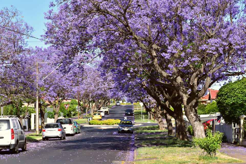 in Adelaide