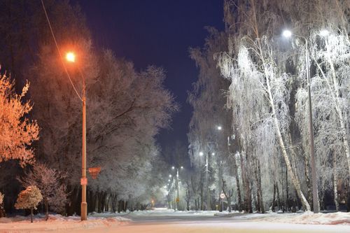 Free Scenic winter night street view with illuminated street lamps and frosty trees. Stock Photo