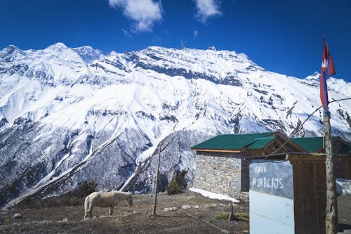 Foto profissional grátis de alpino, alta altitude, alto