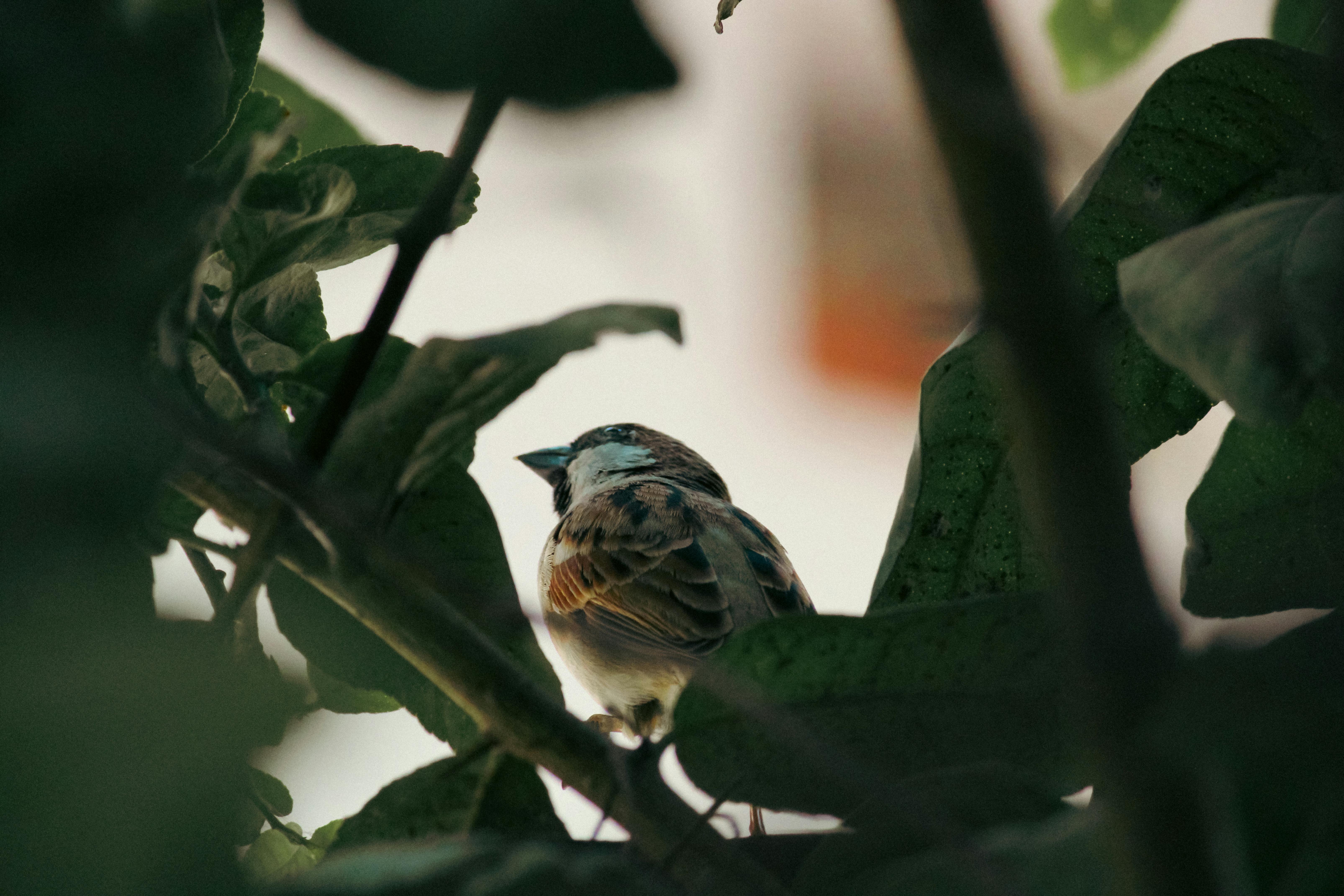 Banghwasuryujeong Pavilion at night