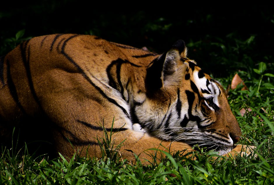 Passion Domestique, Marseille – Enfin Seule