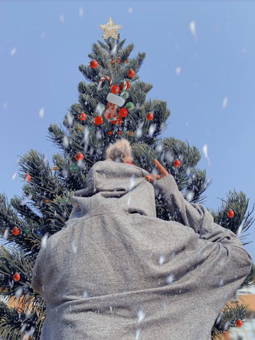 Бесплатное стоковое фото с вертикальный выстрел, рождественская елка, рождественские огни
