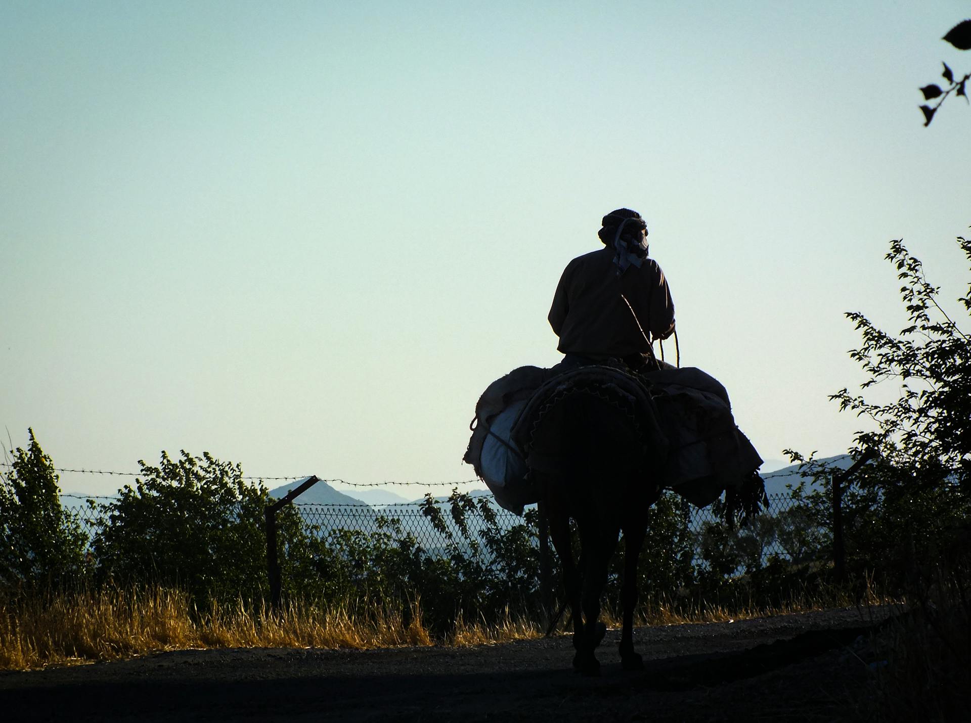 A silhouette of a man riding a horse through the countryside at sunset, embodying nomadic life and travel.
