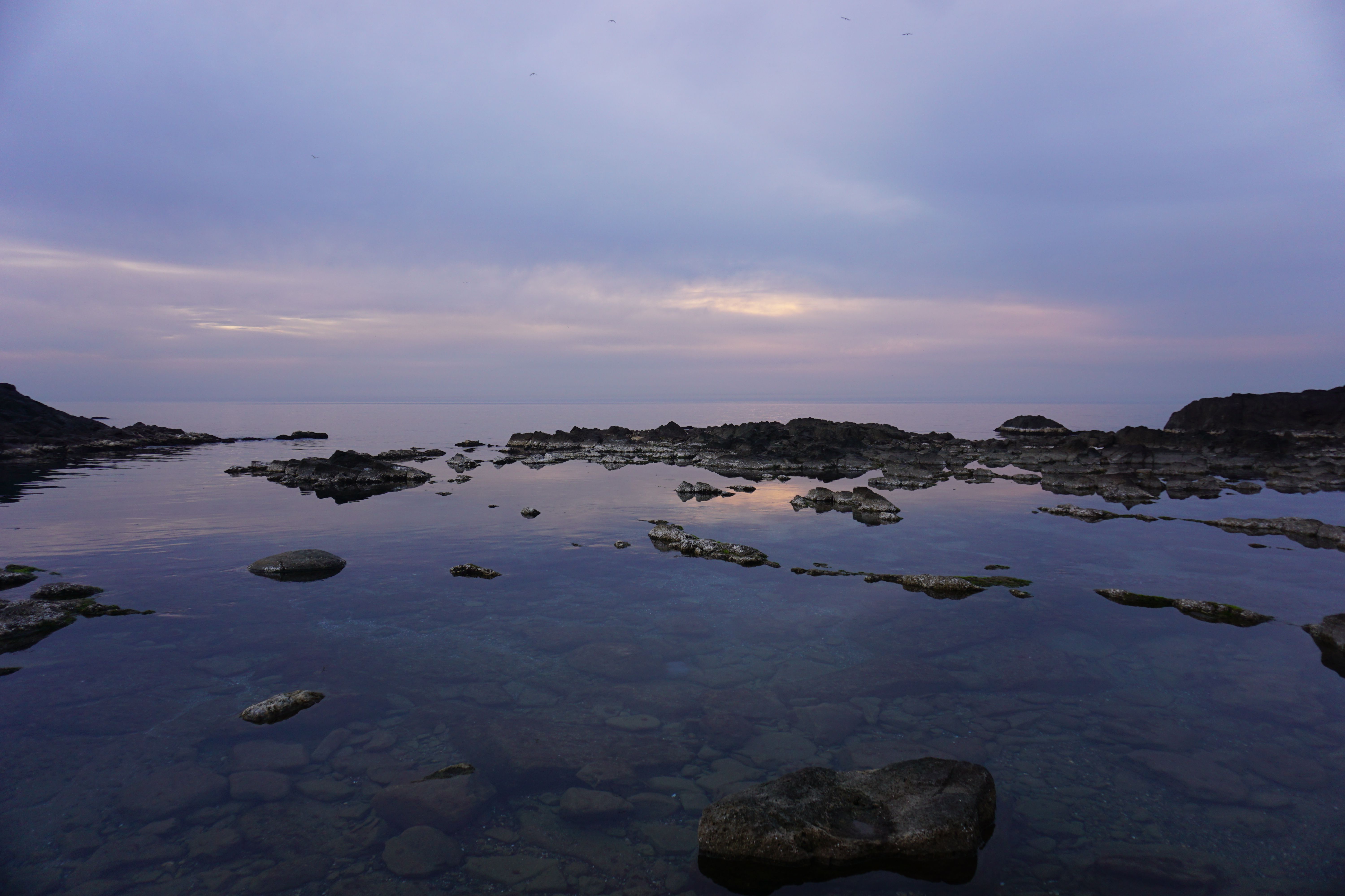 Sea Shore with Rocks · Free Stock Photo