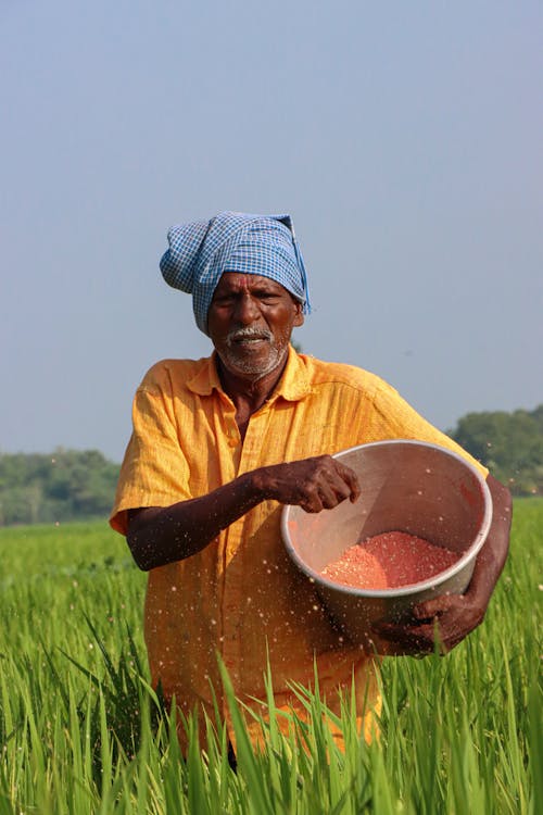 Foto profissional grátis de agricultor, balde, carregando