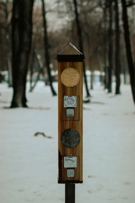 separate feeding stations