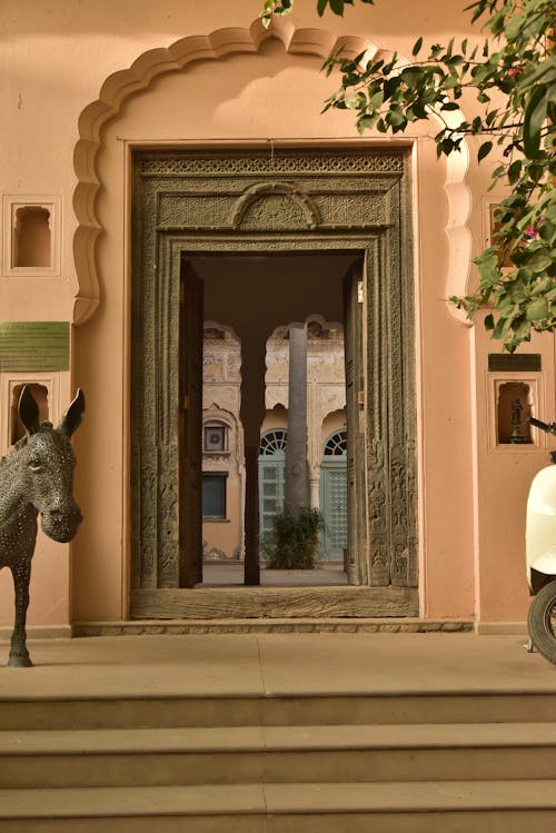 Základová fotografie zdarma na téma jaipur