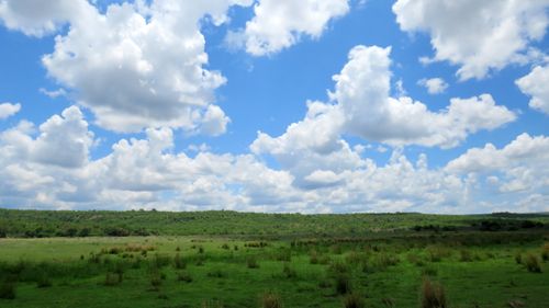Free Blue and green Stock Photo