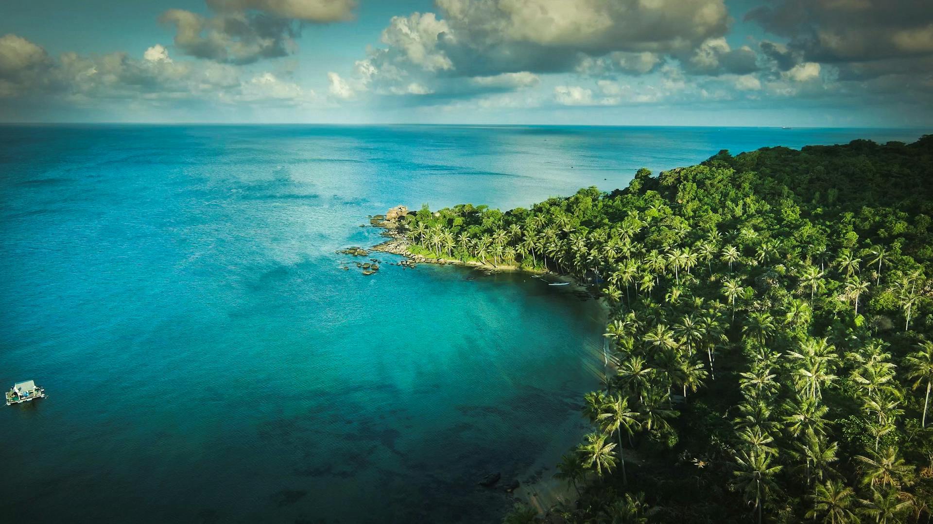 Island Beside Body of Water