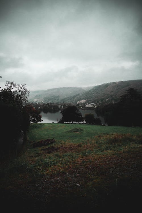 Immagine gratuita di alberi, cielo grigio, lakeside