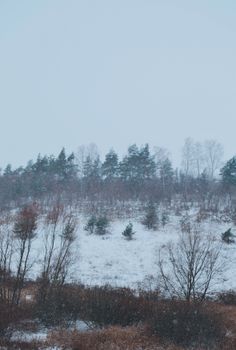Tranquil rural scene with snowy landscape and bare trees in winter.