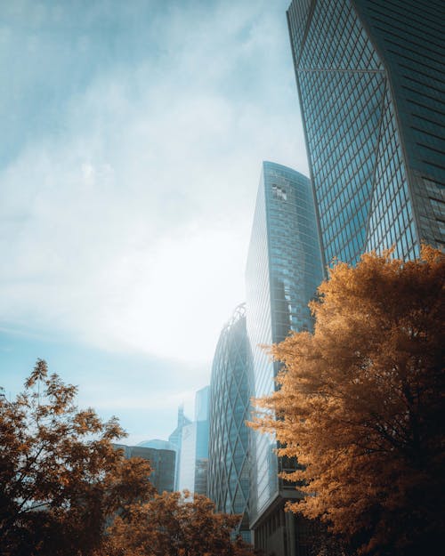 Základová fotografie zdarma na téma atmosfera de outono, městský, modrá obloha