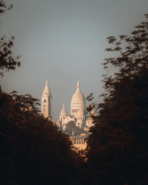 垂直拍攝, 大教堂, 巴黎 的 免費圖庫相片
