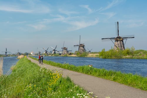 View of the Kinderdijk Windmills from a Walkway, Alblasserwaard Polder, the Netherlands