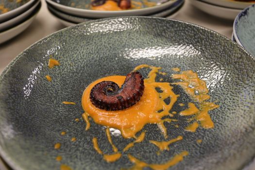 octopus photo