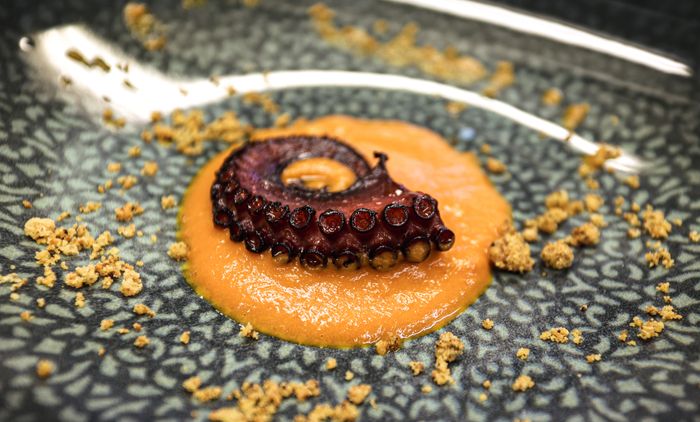 Grilled Octopus