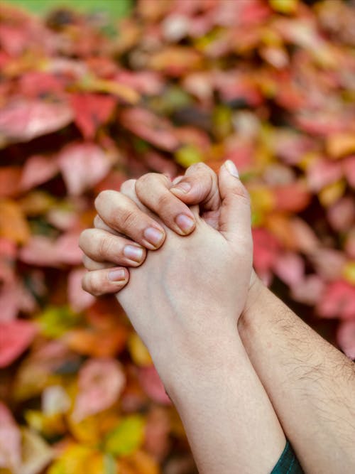 Close-up Shot of People Holding Each Others Hands