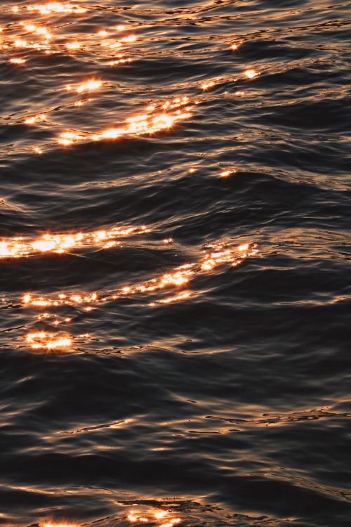 Free Glistening sunlight reflecting over calm ocean waves creates a serene and peaceful scene. Stock Photo