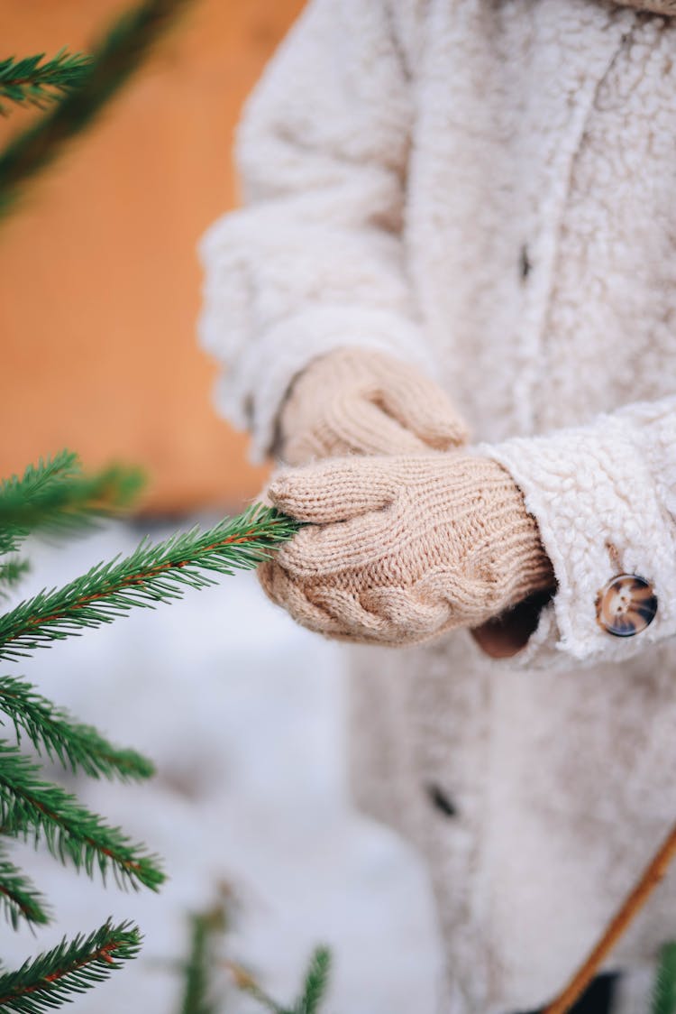 Close-up Of A Child Wearing Gloves Touching A Christmas Tree