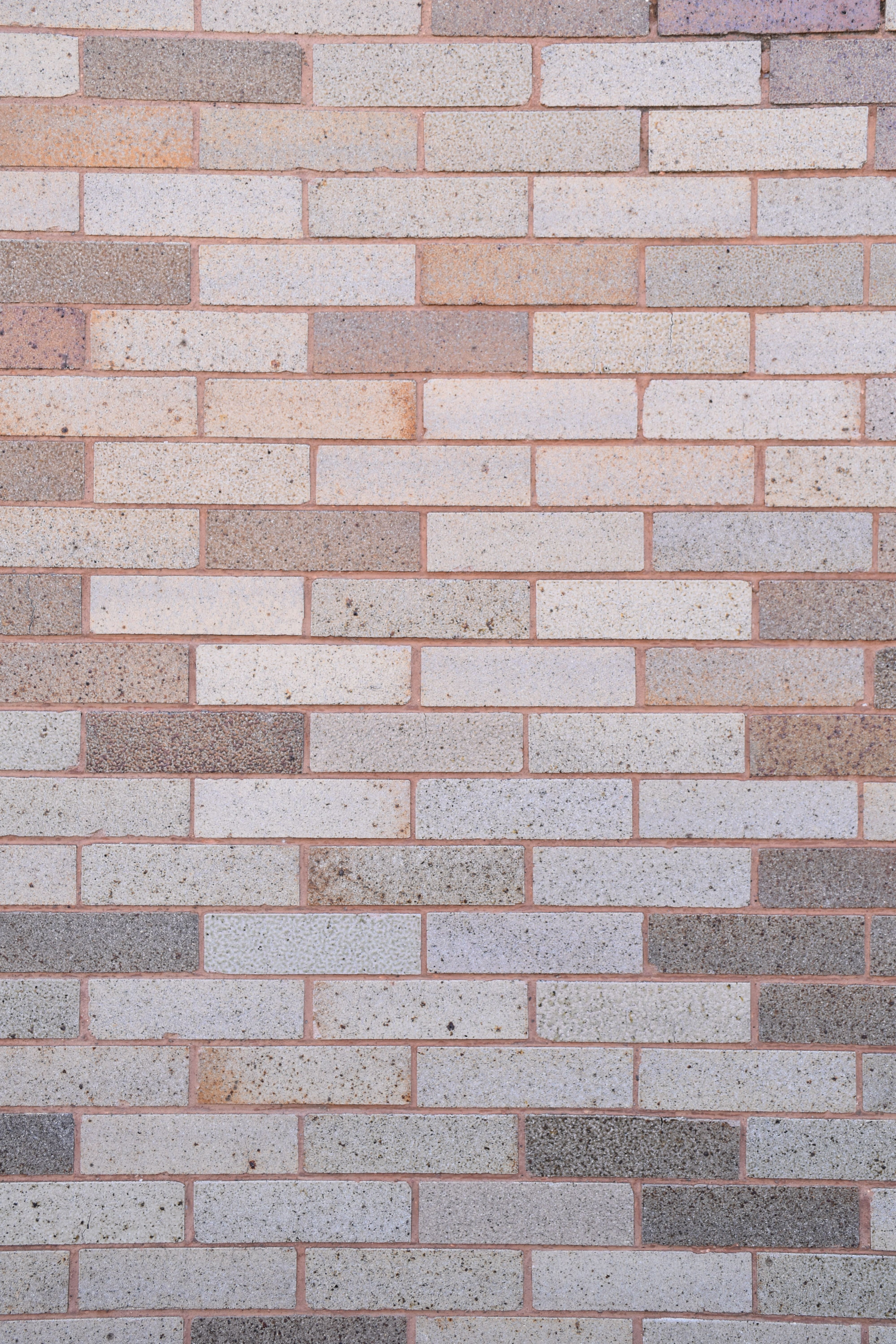 A detailed vertical shot of a textured brick wall in Logan, Utah.