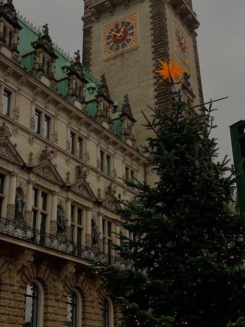 Christmas Tree near Building with Clock Tower