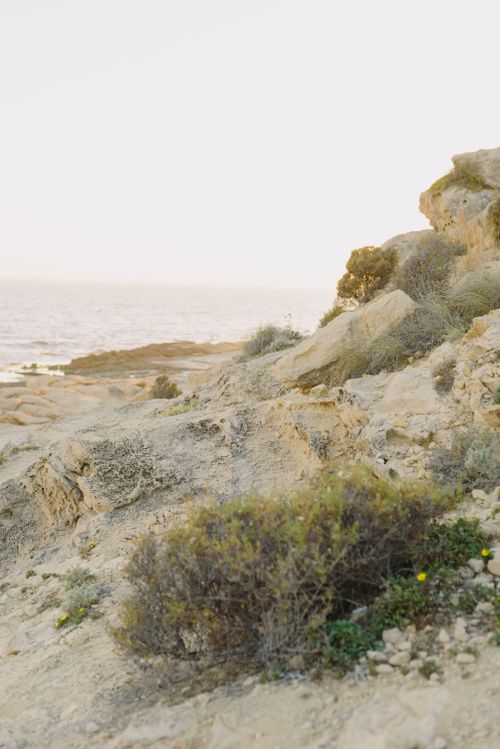 Free A serene, rocky seashore landscape at sunset, showcasing dry vegetation and a calm sea. Stock Photo