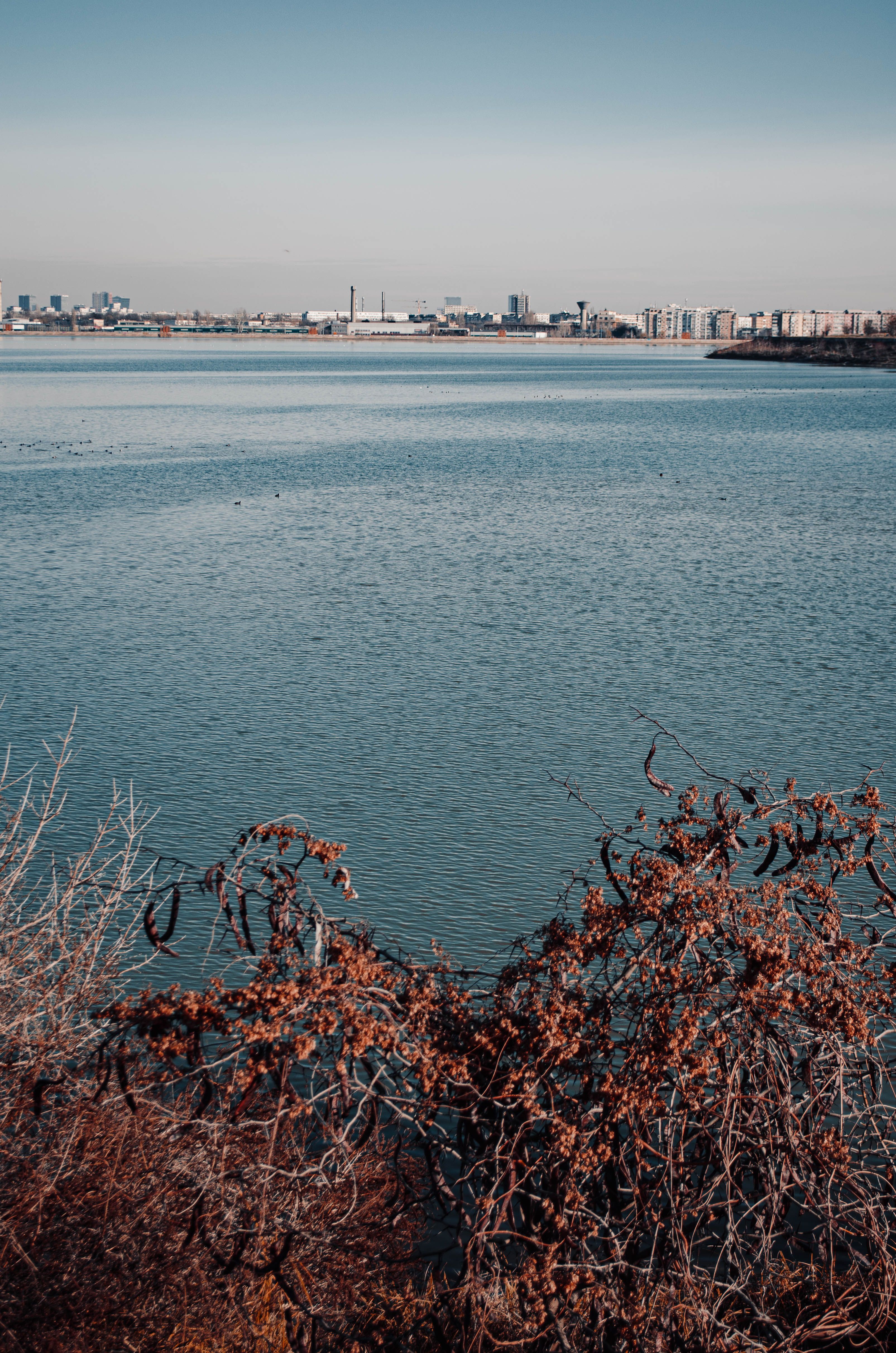 Calm Photos, Download The BEST Free Calm Stock Photos & HD Images