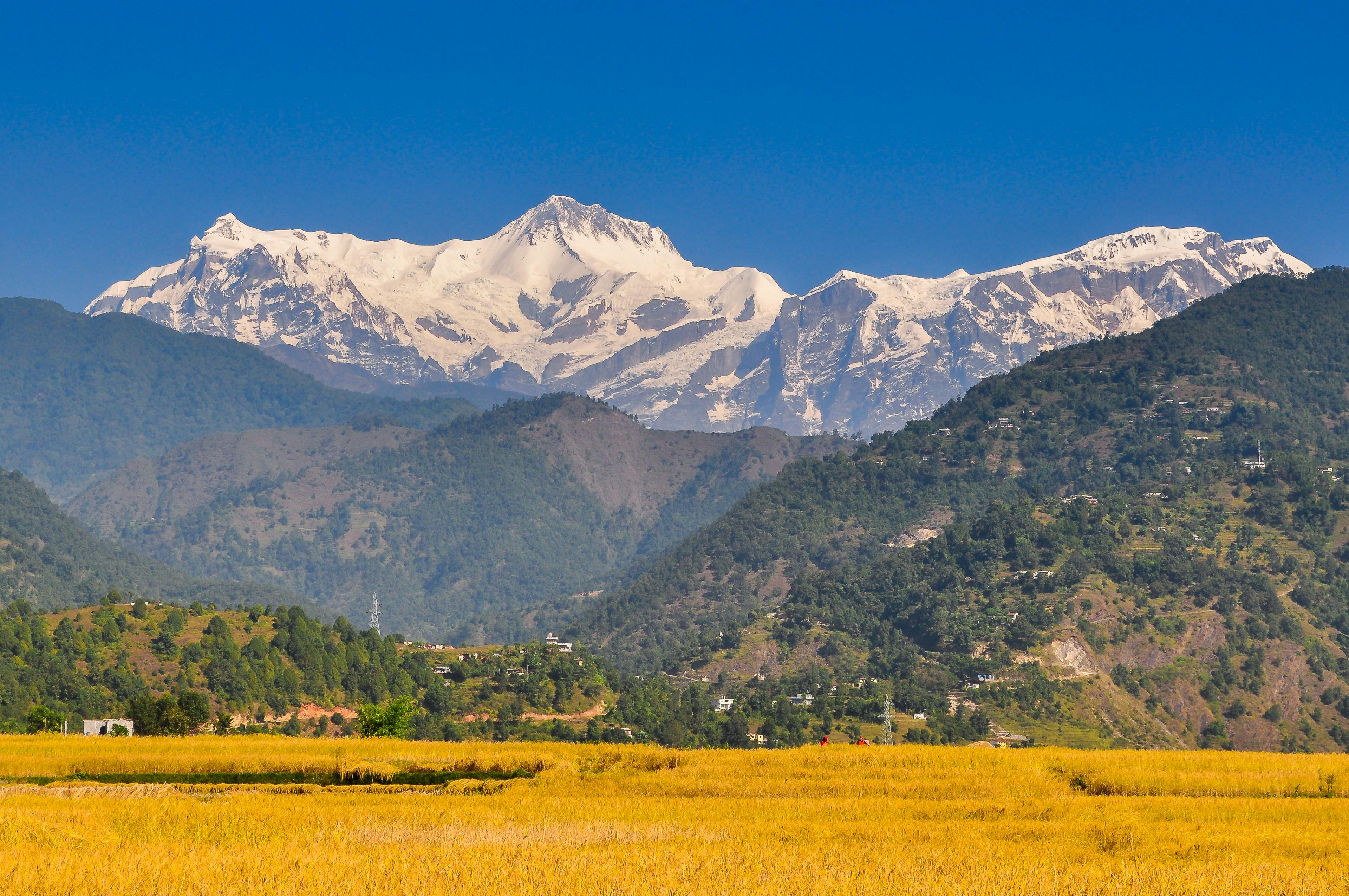 Breathtaking view of the snow-capped Annapurna mountain range overlooking golden fields in Pokhara, Nepal. - Pokhara