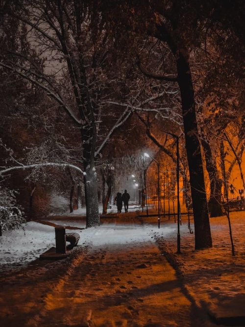Free A winter evening walk on a snow-covered path illuminated by warm lights. Stock Photo